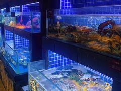 -徐记海鲜(汉城湖|太奥店)
