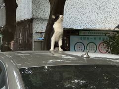 -广东水利电力职业技术学院(天河校区)