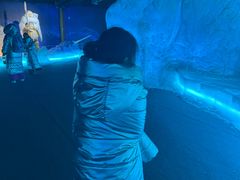 -海合安武汉极地海洋公园