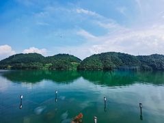 -千岛湖品鱼馆(钓鱼岛店)