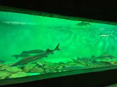 -太平洋海底世界