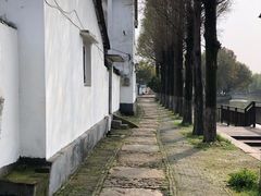 -金泽古镇
