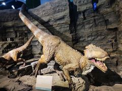-辽宁古生物博物馆