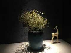 -璞·澐间影院式足道SPA(尚悦湾店)