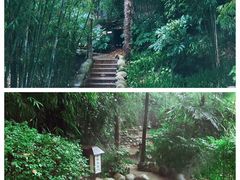 -三江森林温泉度假区