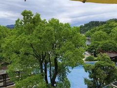 -逸廊大堂吧-下午茶·简餐-千岛湖自由洲际殿