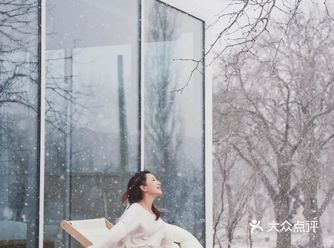 睡过100家3000+ 酒店,却说不如夜宿黄河树林里看斗转星