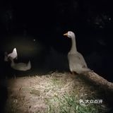 北二环的江南风景区[加油]积水潭西[呲牙]