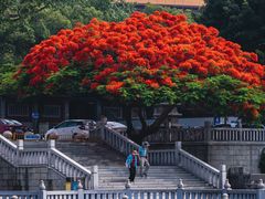 -梵天禅寺