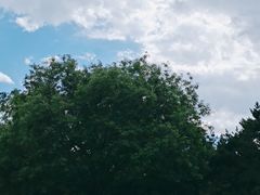 -玲珑塔公园