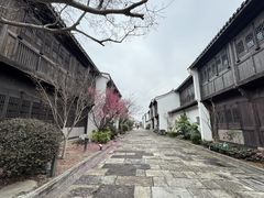 -东海半边山旅游度假区