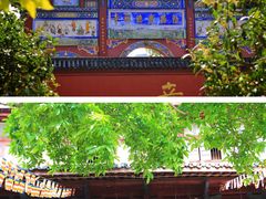 -四川宋瓷博物馆