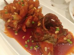 松鼠鳜鱼-金时代顺风大酒店(爱琴海购物中心店)
