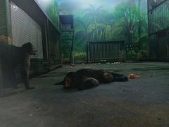 -西安秦岭野生动物园