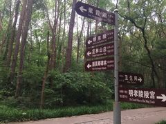 -紫霞湖公园