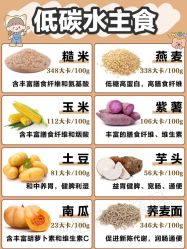 -Fundi张玉珊修身堂·indiba·BTL科技瘦身