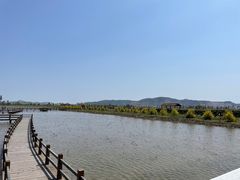 -漩门湾国家湿地公园