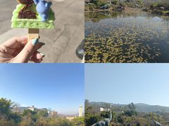 -世界恐龙谷景区