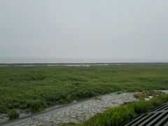 观看-南汇嘴观海公园