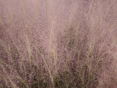 -祥源·阜阳生态乐园