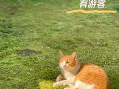 -太平天国历史博物馆(瞻园)