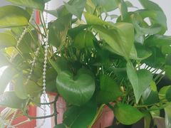 -宴昆山·私房菜(春晖店)