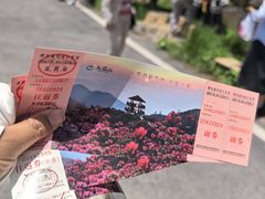 -大围山国家森林公园