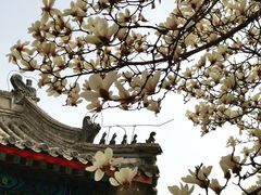 -大钟寺古钟博物馆