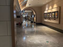 -万达影城(CBD万达广场IMAX店)