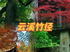 -云栖竹径