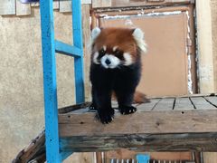 -塘沽森林公园