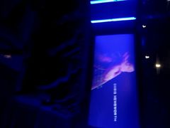 android_upload_pic-保定金棕榈先天下国际影城(LUXE)