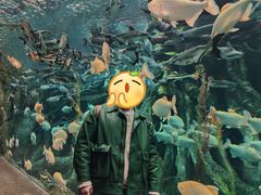 -哈尔滨波塞冬海底世界