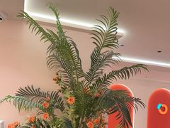 -摩欧客意式餐厅(高新活力汇店)