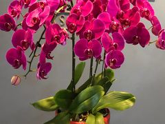 -精德口腔·种植修复·儿牙中心(财富中心店)