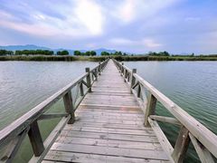 -野鸭湖国家湿地公园