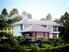 -广州市帽峰山景区