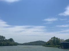 -渤公岛生态公园