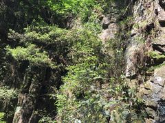 -溪口-滕头旅游景区