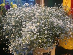 -花木兰花艺MULAN(温馨花园店)