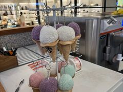 -野人先生Gelato(上海长宁龙之梦店)