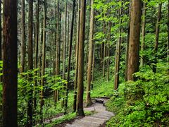 -上色见熊野座神社