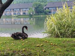 -池州市平天湖风景区