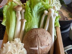 -盡膳口福·百年汤方火锅(科华北路店)