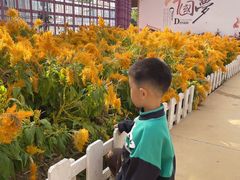 -广东花都香草世界旅游度假区