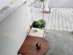 -卷耳咖啡