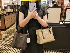 -Chicago Premium Outlets