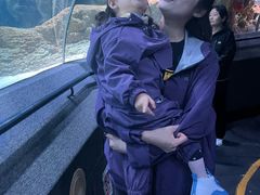 -大连圣亚海洋世界