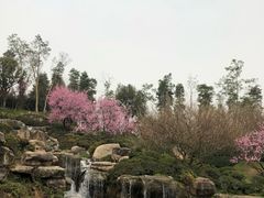-秀丽东方