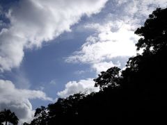 -深圳仙湖植物园